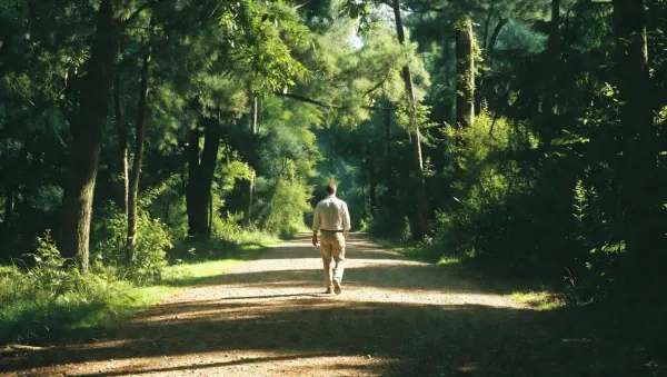 Mann geht im Wald spazieren als Beispiel für gesunde Gewohnheiten und tägliche Bewegung